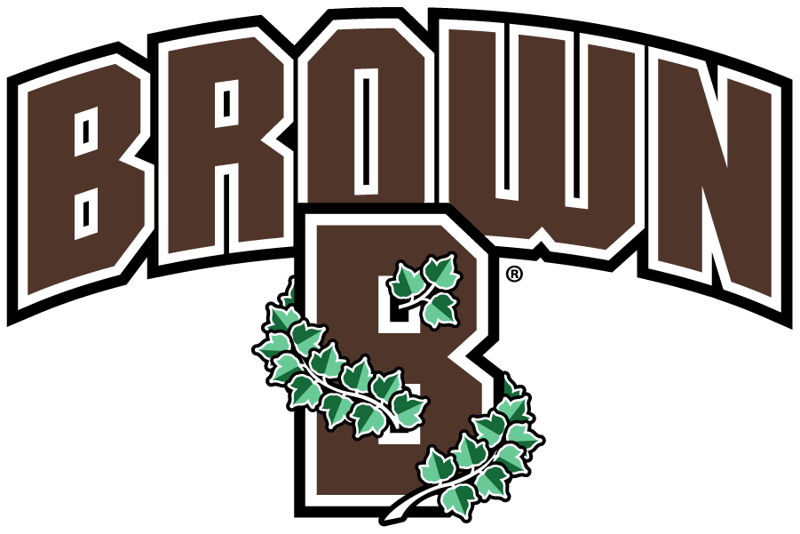 Brown Bears 2018-Pres Secondary Logo iron on transfers for T-shirts
